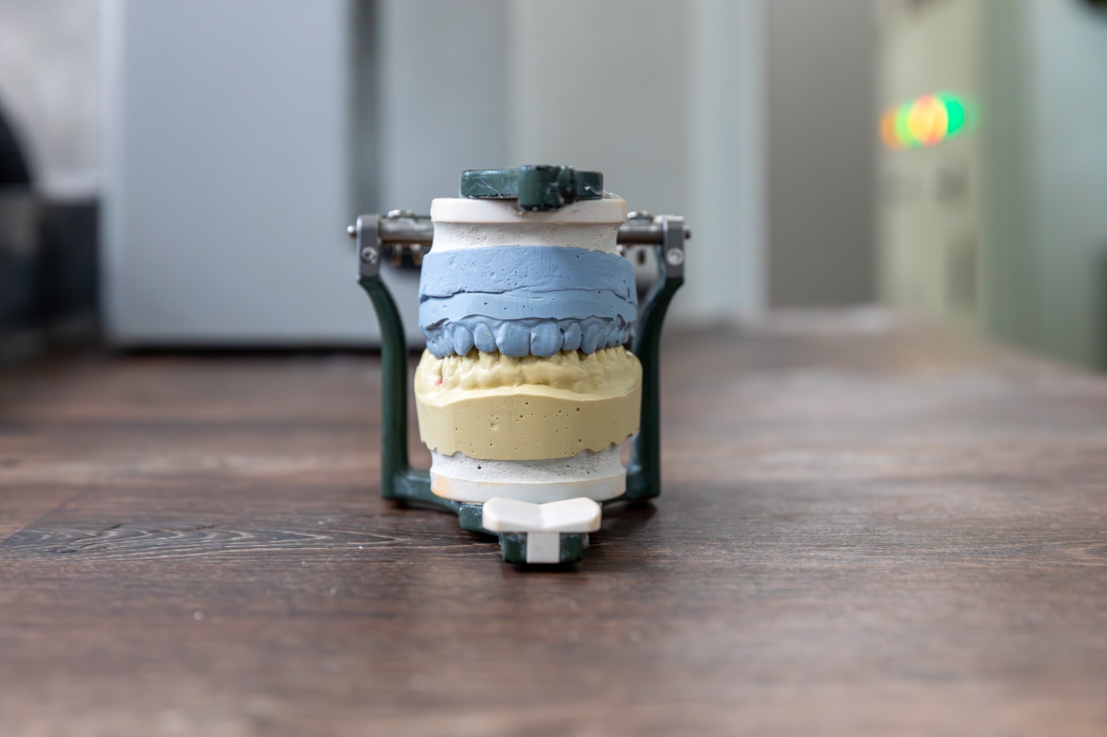 Articulator cu model